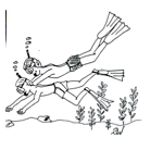 Croatia - Snorkeling Boat Trip